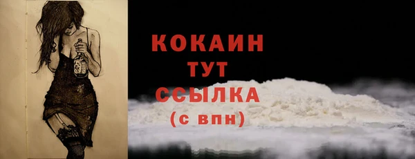 шишки Гусиноозёрск