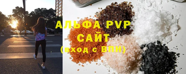 шишки Гусиноозёрск