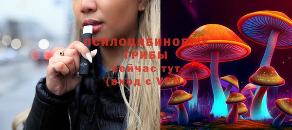 бошки Горно-Алтайск