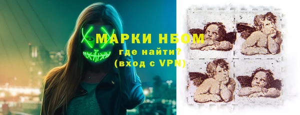 шишки Гусиноозёрск