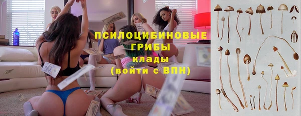 бошки Горно-Алтайск