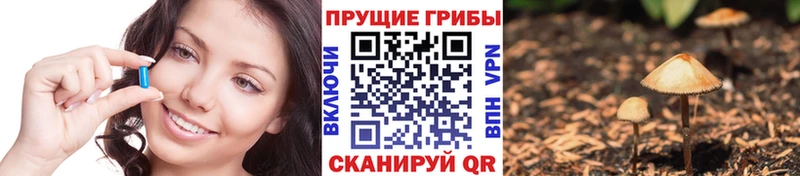 Псилоцибиновые грибы прущие грибы  Долинск 